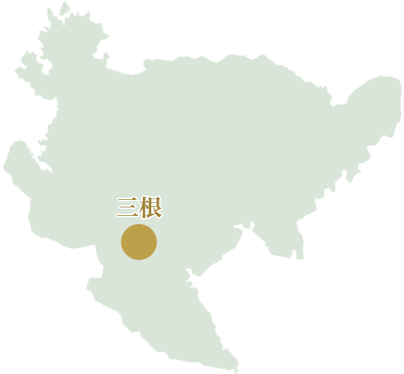 櫻乃庵の茶葉生産者 佐賀県